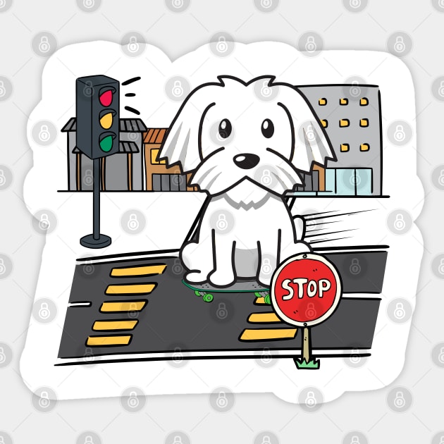 Cute white dog is skate boarding on the street Sticker by Pet Station